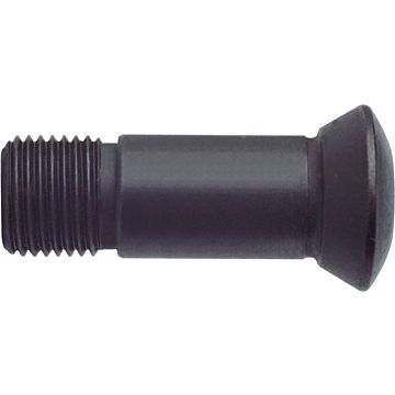 Vite di serraggio Torx Vite di serraggio Torx