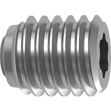 Vite di serraggio torx Plus Vite di serraggio torx Plus