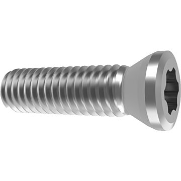 Vite di serraggio torx Plus Vite di serraggio torx Plus