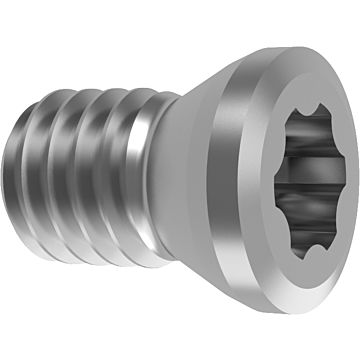 Vite di serraggio torx Plus Vite di serraggio torx Plus