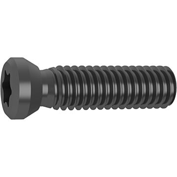 Vite di serraggio torx Plus Vite di serraggio torx Plus