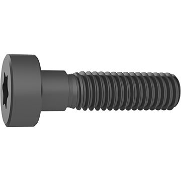 Vite di serraggio torx Plus Vite di serraggio torx Plus