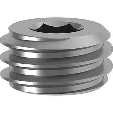 Vite di serraggio torx Plus Vite di serraggio torx Plus
