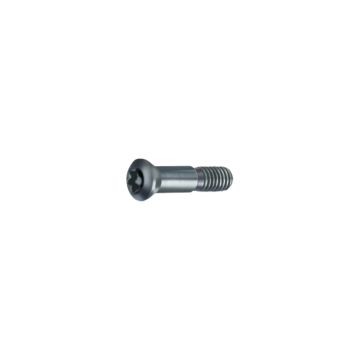 Vite di serraggio Torx Vite di serraggio Torx